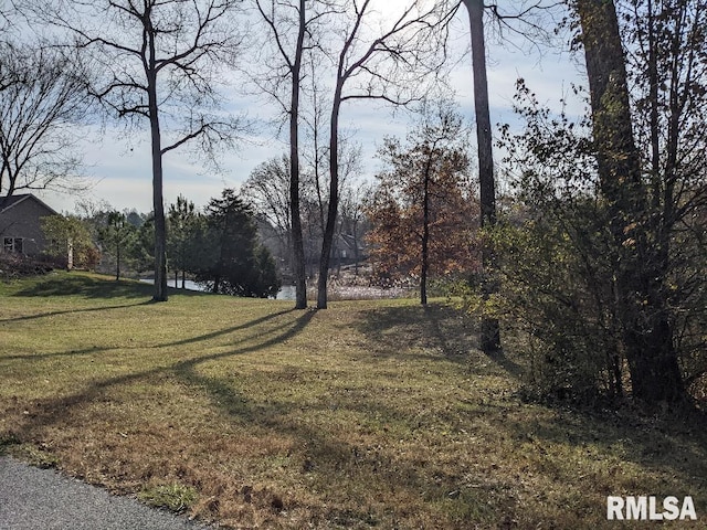 Listing photo 3 for 69 David Livingstone Dr, Carterville IL 62918