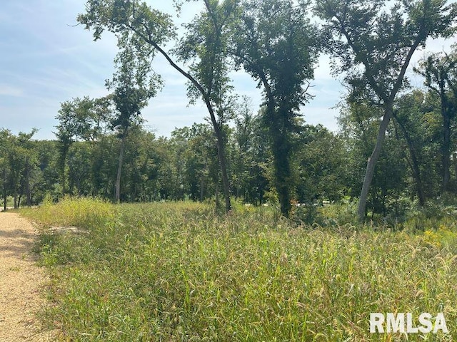 LOT1 225th St, De Witt IA, 52742 land for sale