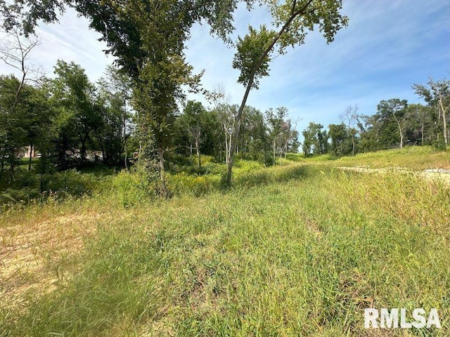 Listing photo 2 for LOT1 225th St, De Witt IA 52742