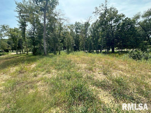 Listing photo 3 for LOT1 225th St, De Witt IA 52742