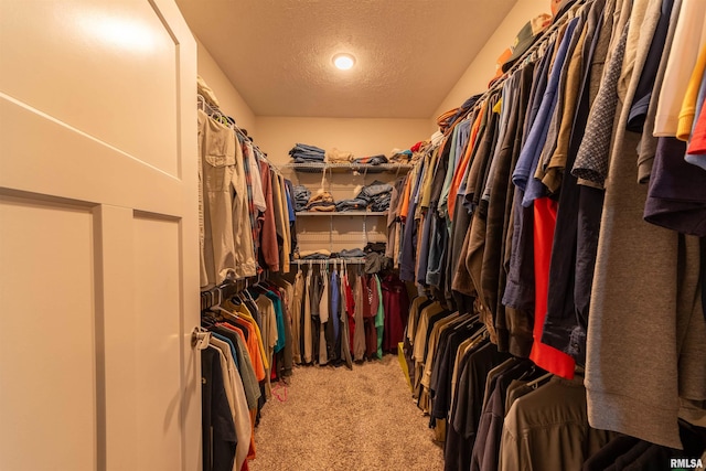 walk in closet with light colored carpet