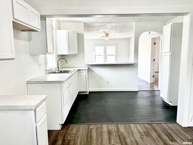 kitchen featuring white cabinetry, sink, ceiling fan, and dark wood-type flooring