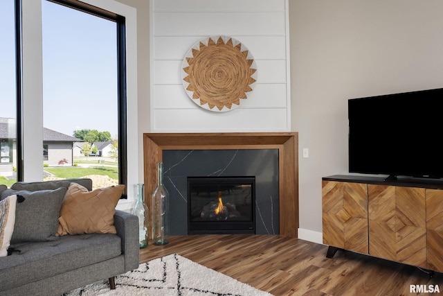 living room with wood-type flooring