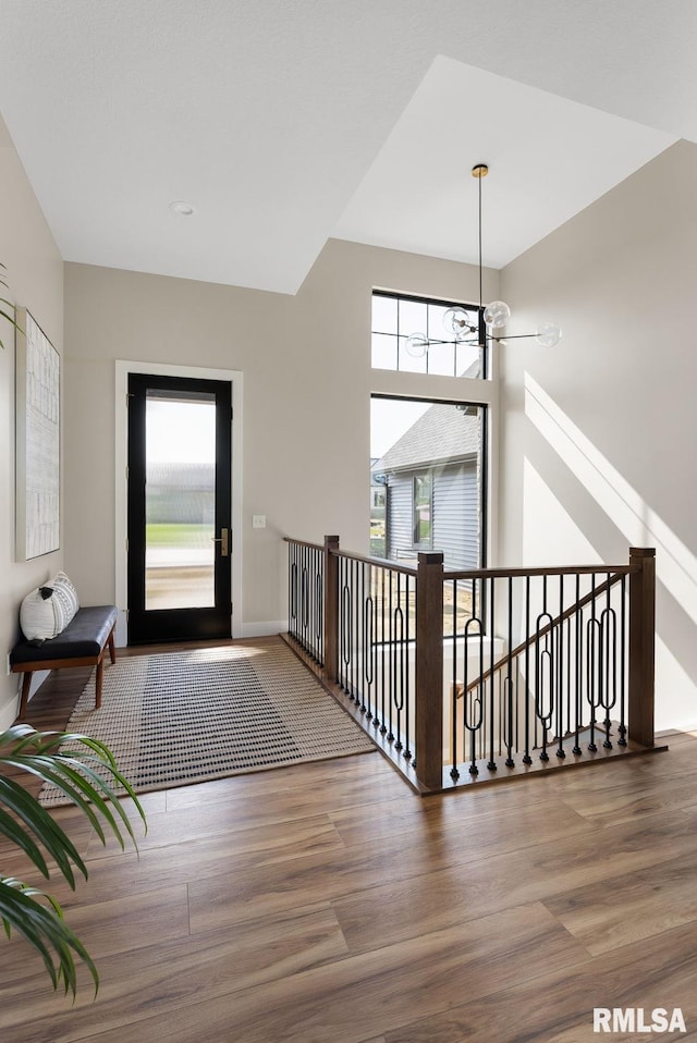 foyer with hardwood / wood-style floors and a healthy amount of sunlight