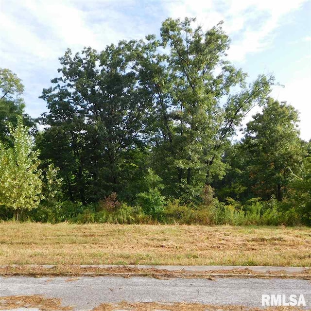 Listing photo 3 for LOT3 Links Ct, Sherrard IL 61281