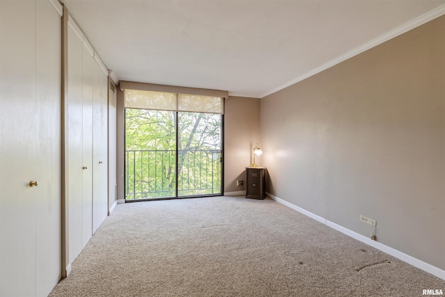 empty room featuring carpet floors and crown molding