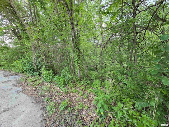 Listing photo 2 for LOT2 Oakwood Ct, Colona IL 61241