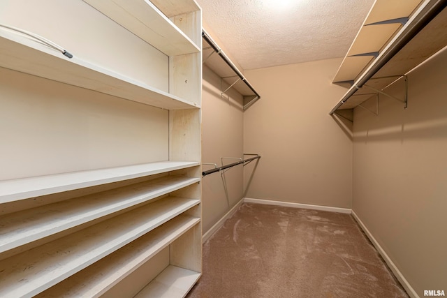 walk in closet with dark carpet