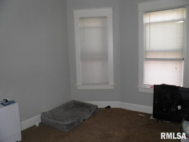 interior space featuring a wealth of natural light, radiator heating unit, and baseboards