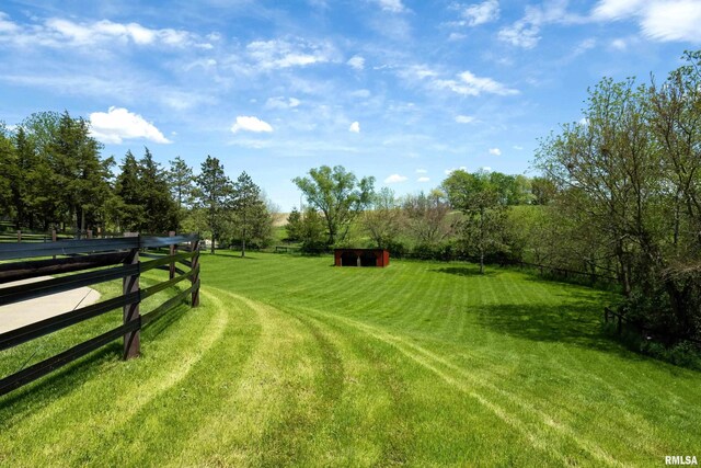 view of yard