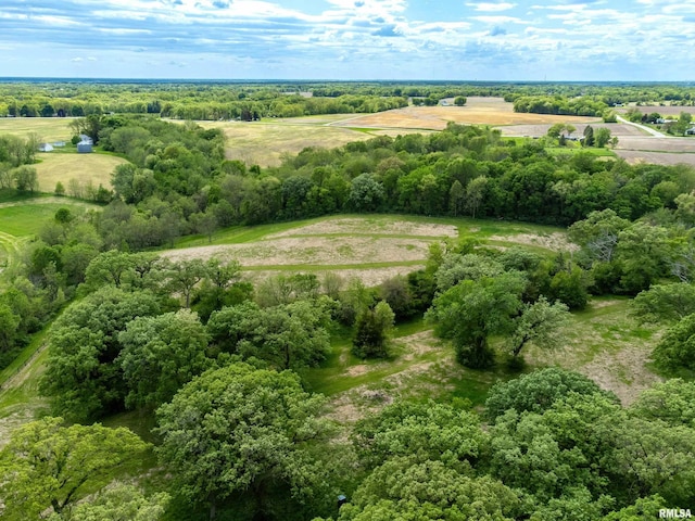 drone / aerial view with a rural view