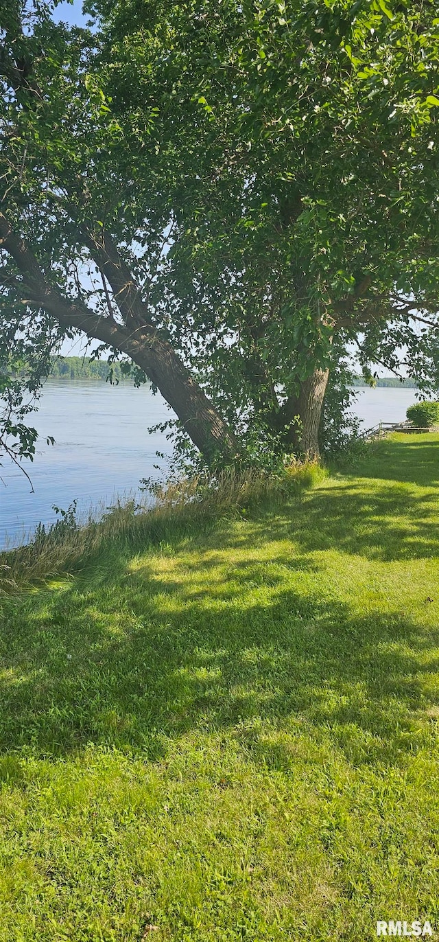 view of yard featuring a water view