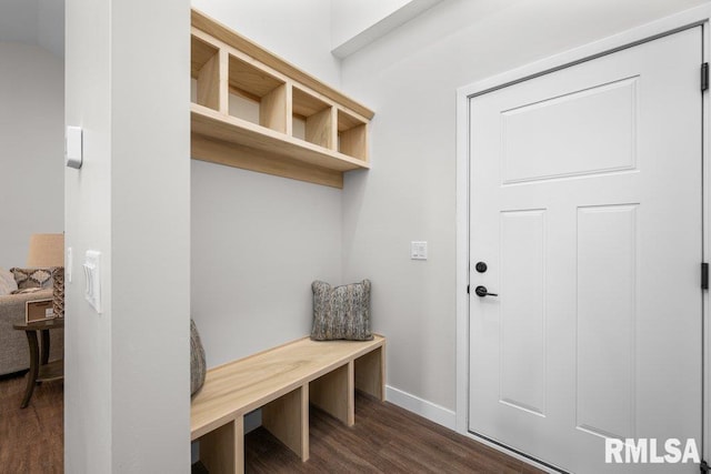 mudroom with dark hardwood / wood-style floors