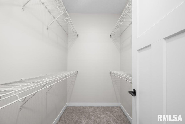 spacious closet featuring light colored carpet