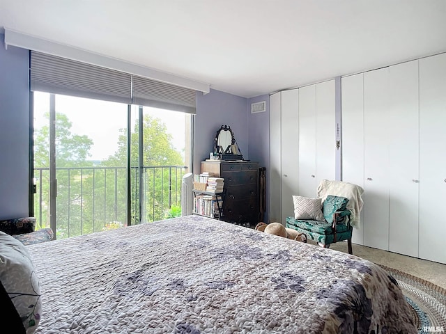 bedroom with two closets and carpet