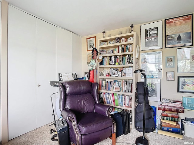 living area with light colored carpet