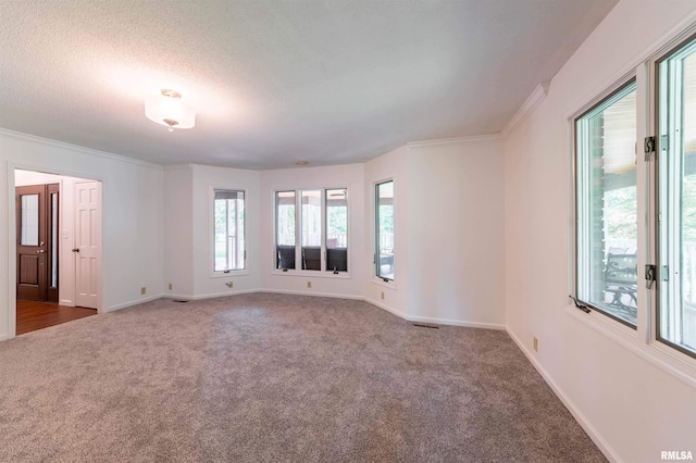 spare room featuring dark colored carpet, a textured ceiling, and crown molding