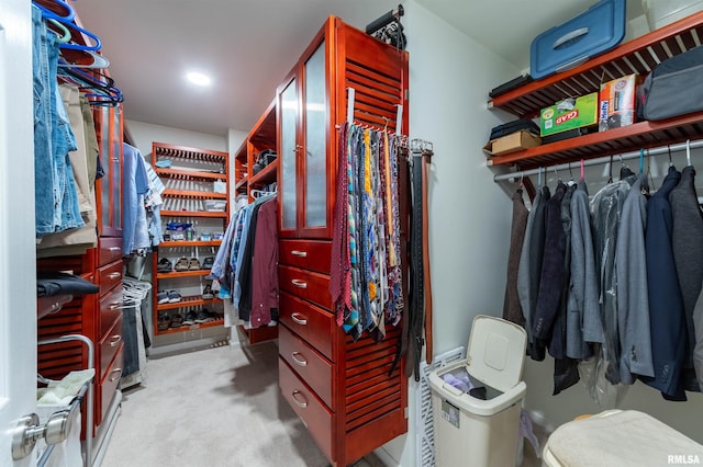 spacious closet with light carpet