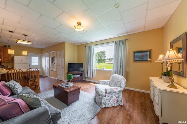 living room with wood-type flooring