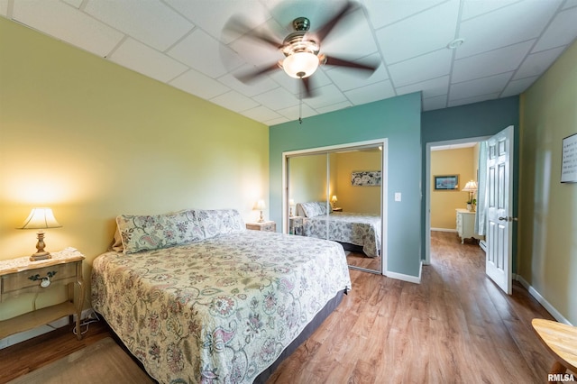 bedroom featuring wood-type flooring, a paneled ceiling, ceiling fan, and a closet