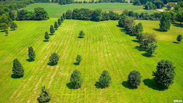 bird's eye view with a rural view