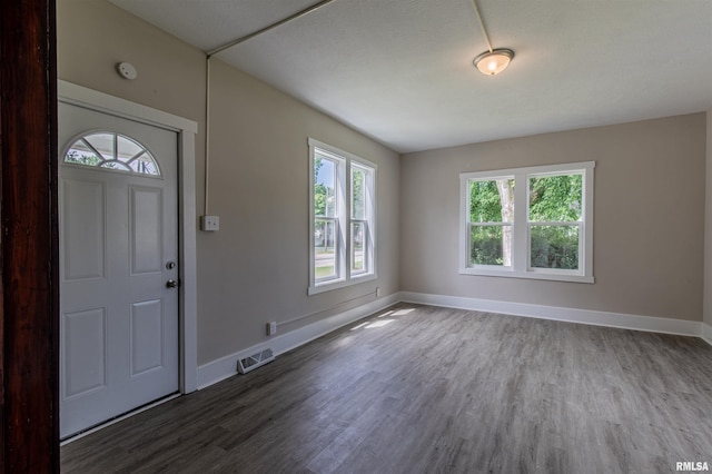 entrance foyer with a healthy amount of sunlight and wood-type flooring