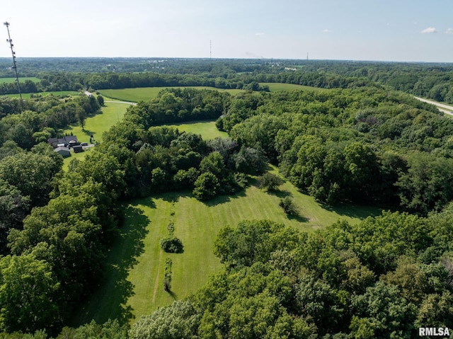 bird's eye view