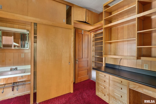 unfurnished office featuring wood walls, sink, and dark carpet