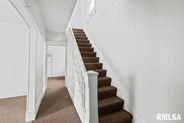 staircase featuring carpet flooring