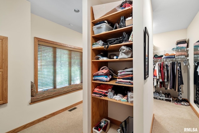 spacious closet with carpet flooring