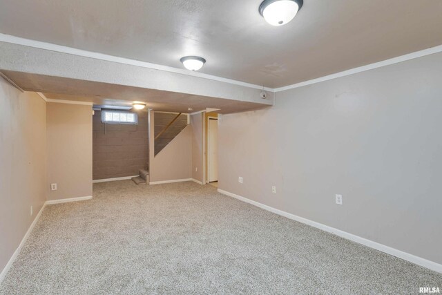 basement featuring carpet floors, crown molding, and a textured ceiling