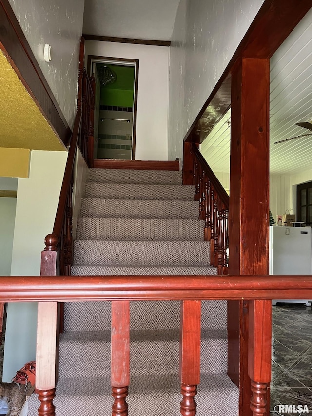 stairway with carpet flooring