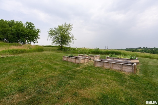 view of yard with a garden and a rural view