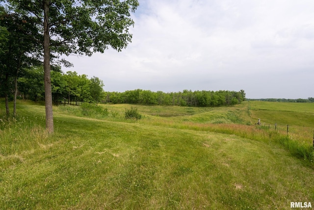 view of yard with a rural view