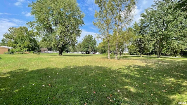 531 N Wilson St, Hurst IL, 62949 land for sale