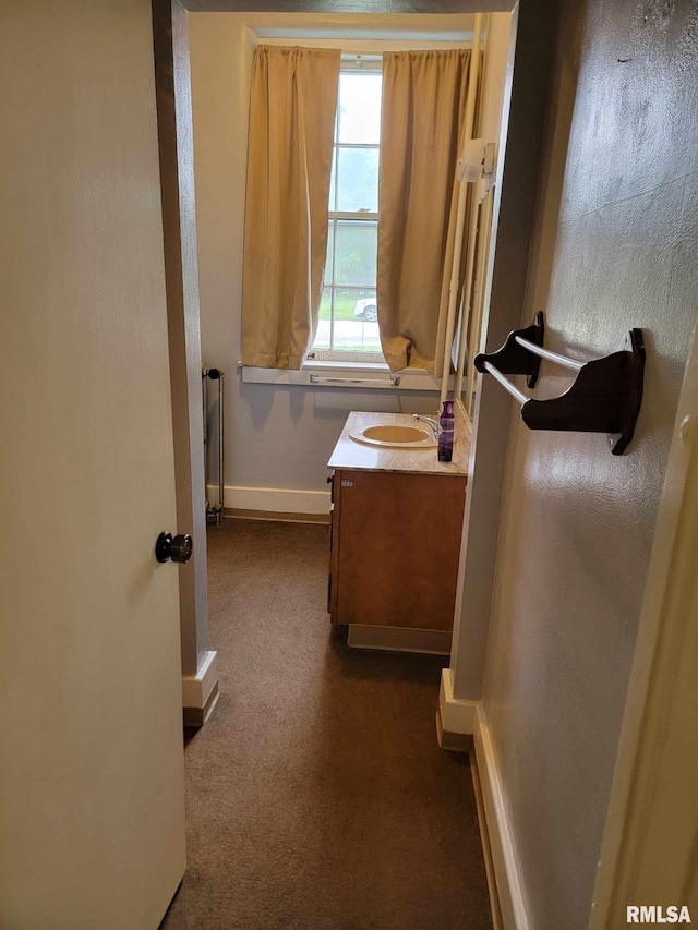 bathroom featuring vanity and radiator