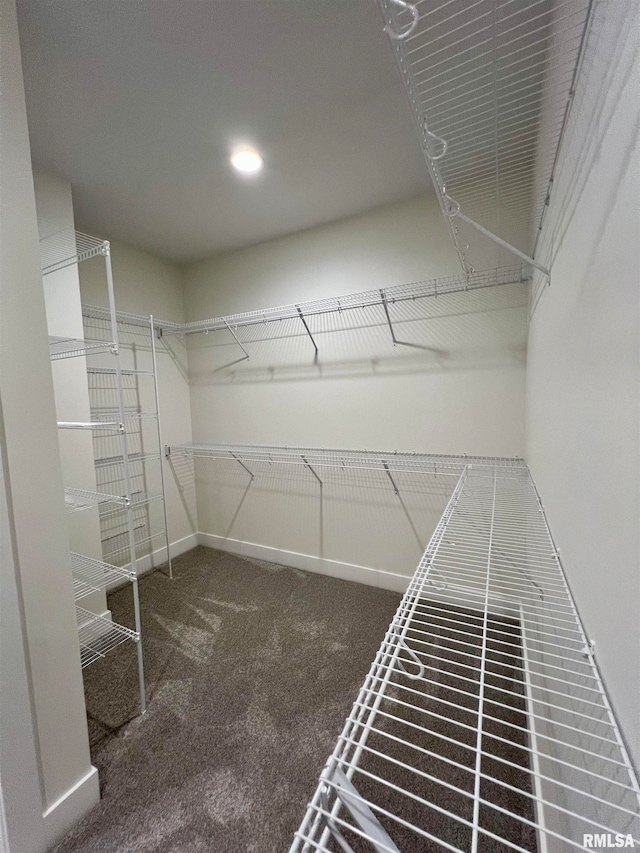 walk in closet featuring dark colored carpet