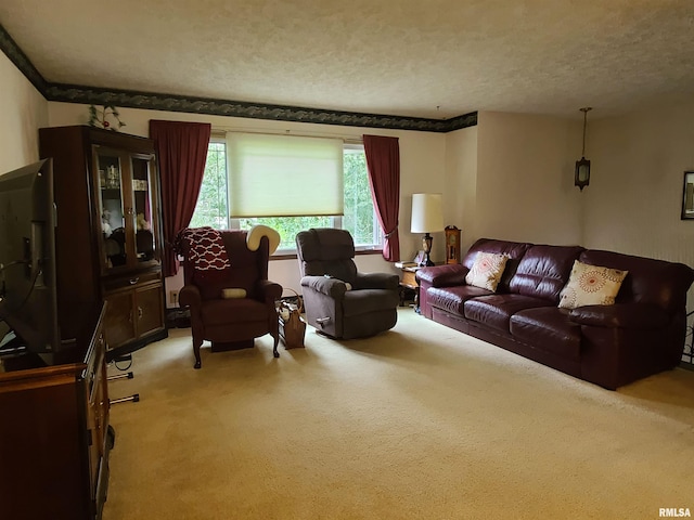 carpeted living room featuring a textured ceiling