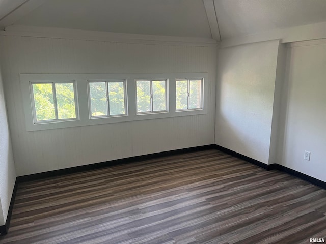 unfurnished room featuring a wealth of natural light, vaulted ceiling, and hardwood / wood-style flooring