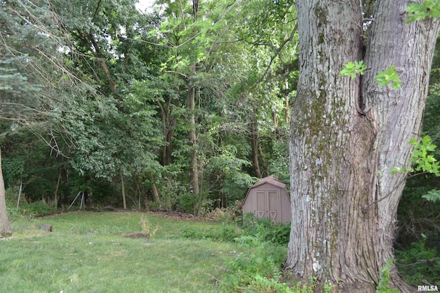 view of yard with a storage unit