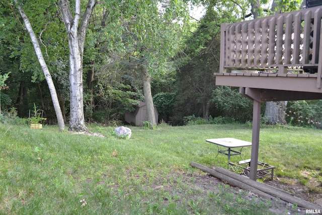 view of yard with a storage shed