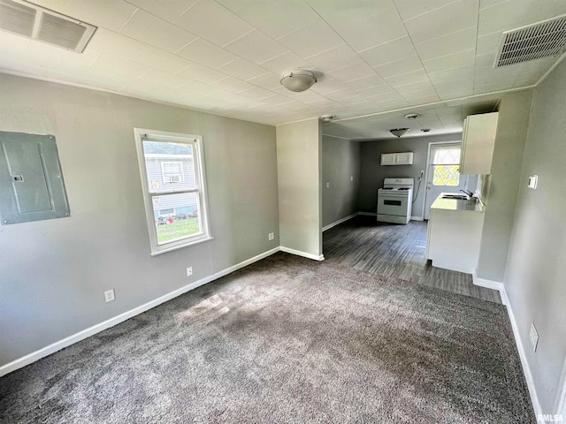 empty room featuring carpet, sink, and electric panel