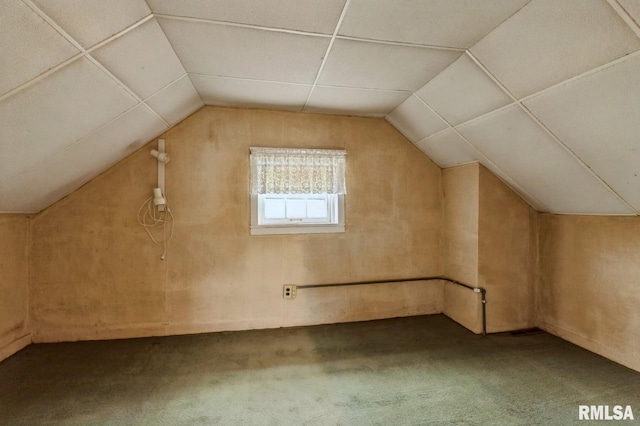 additional living space featuring carpet floors and vaulted ceiling