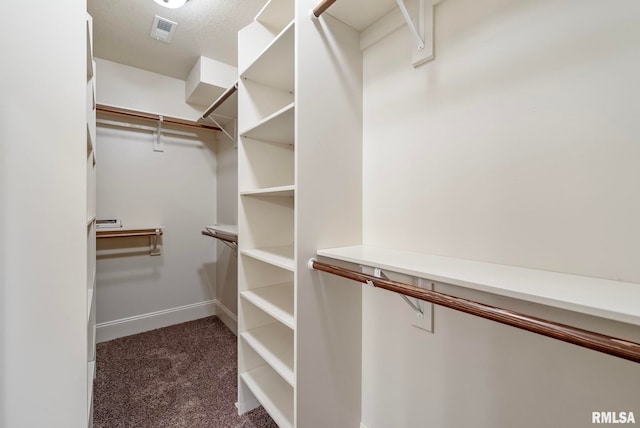 spacious closet with carpet