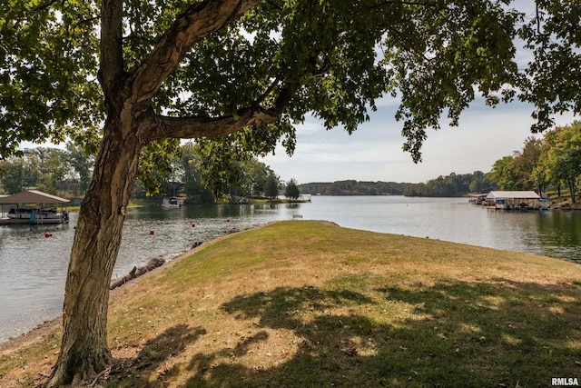 view of water feature