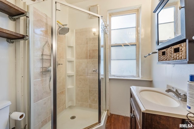 bathroom with a wealth of natural light, a stall shower, and vanity