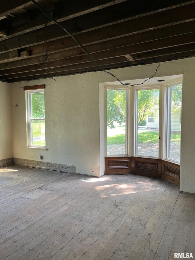 spare room featuring hardwood / wood-style flooring and a healthy amount of sunlight