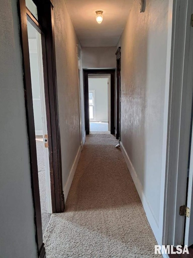 hallway featuring carpet floors