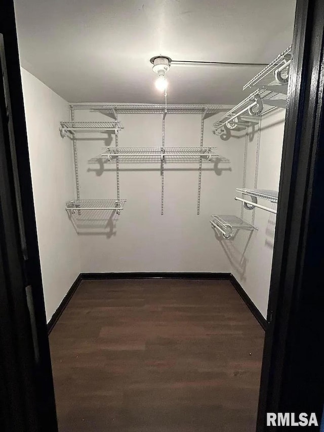 spacious closet with wood-type flooring