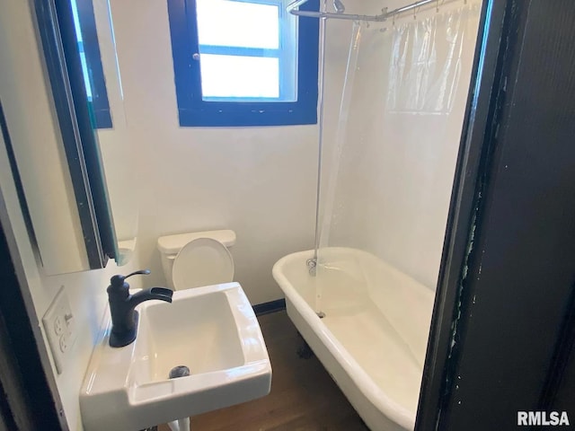 full bathroom with toilet, sink, and shower / bath combo with shower curtain